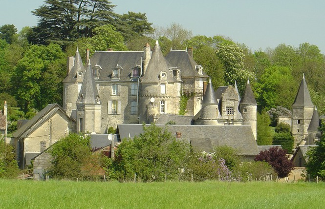 chateau-celle-guenand